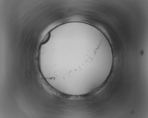 X0000116571146200912311948