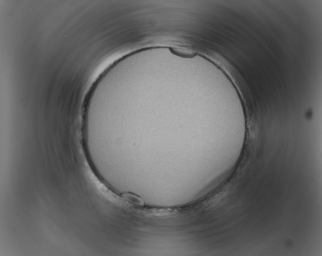 X0000116571147200912311948