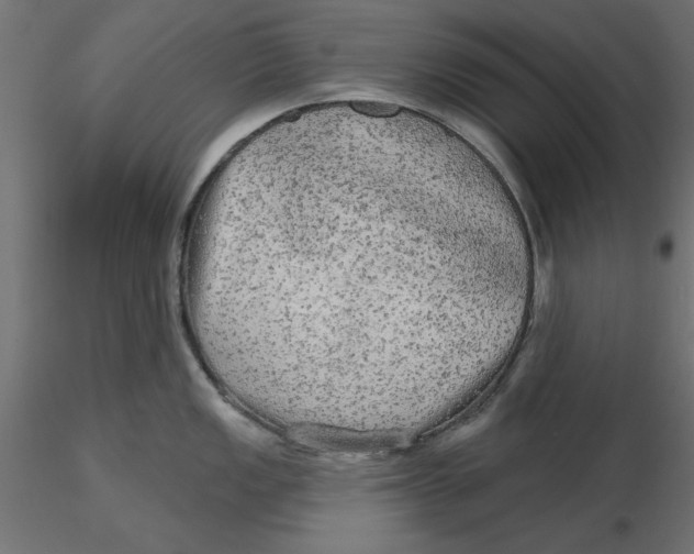 X0000116571149200912311948