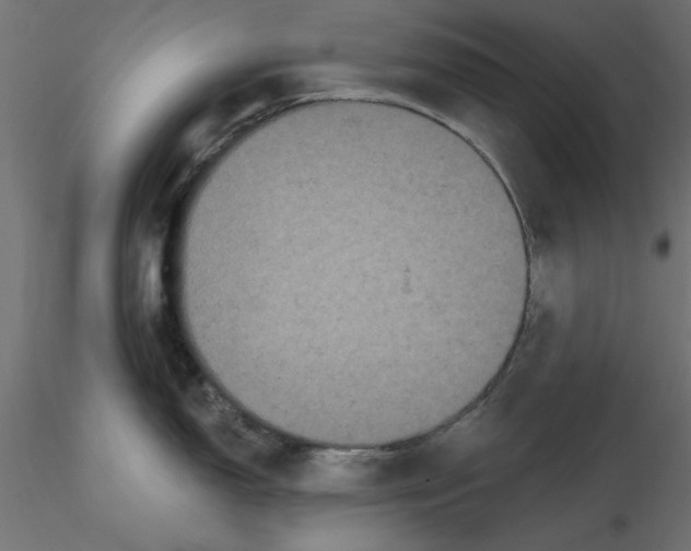 X0000116571150200912311948