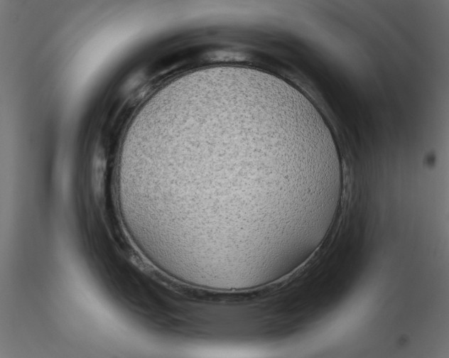 X0000116571151200912311948