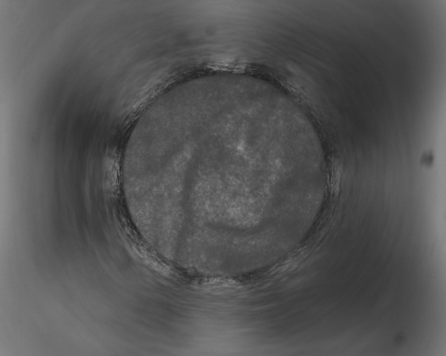 X0000116571154200912311947