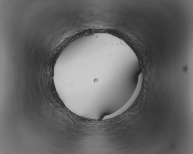 X0000116571157200912311947