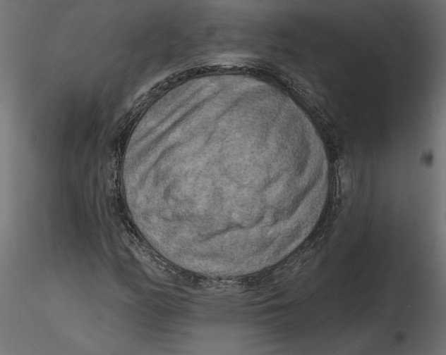 X0000116571158200912311947