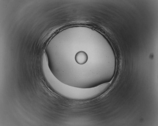 X0000116571161200912311947