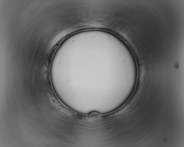 X0000116571163200912311947