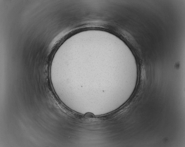 X0000116571164200912311947