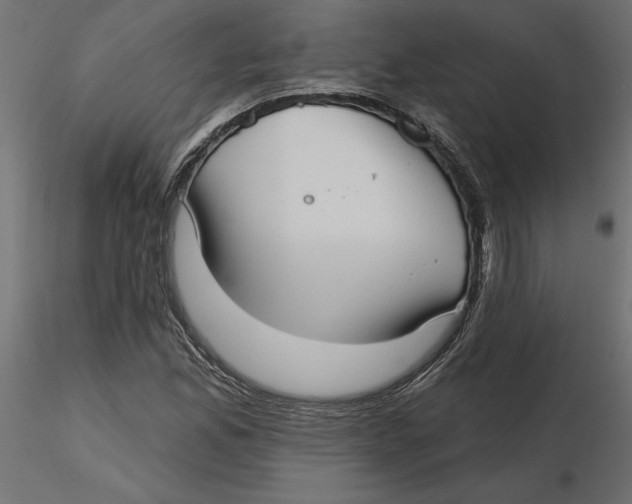 X0000116571165200912311947