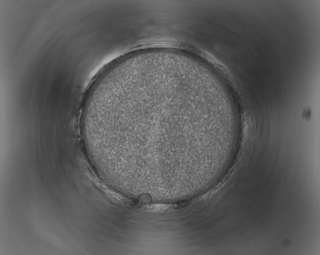 X0000116571166200912311947