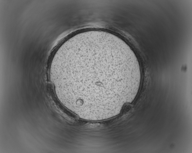 X0000116571168200912311947