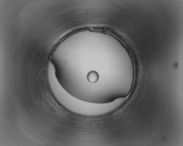 X0000116571169200912311947