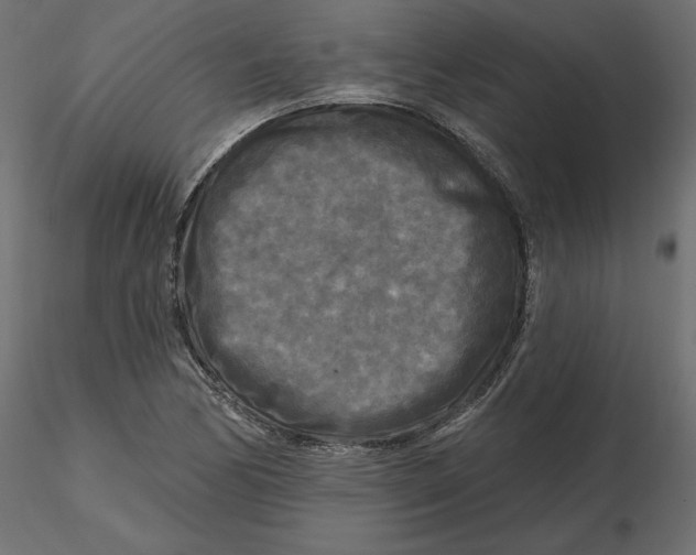 X0000116571170200912311947