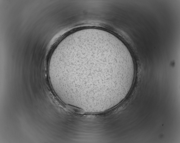 X0000116571172200912311947