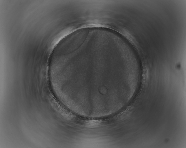 X0000116571173200912311947