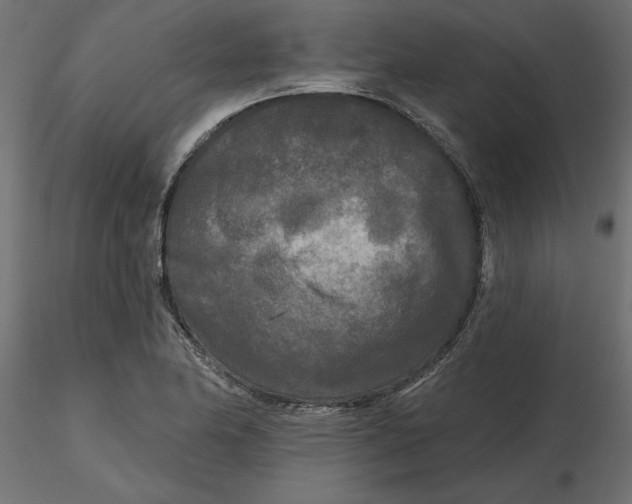 X0000116571174200912311947