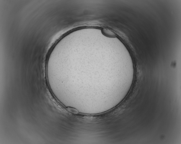 X0000116571176200912311947