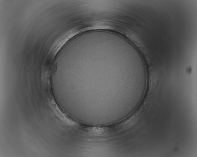 X0000116571177200912311947