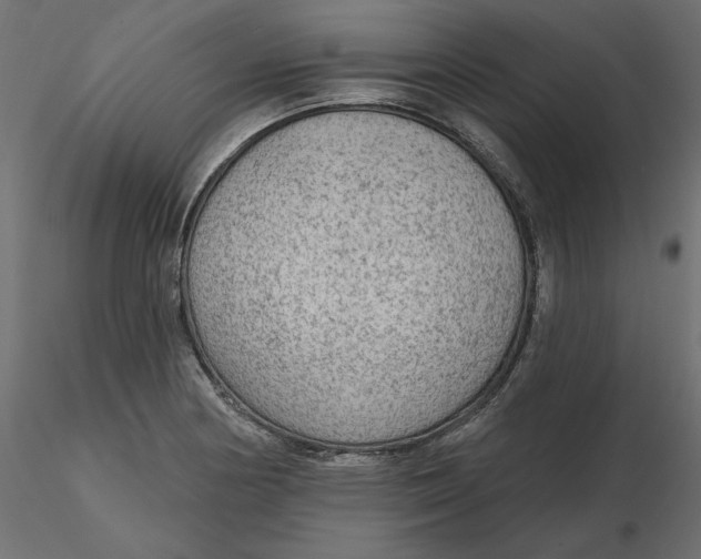 X0000116571178200912311947