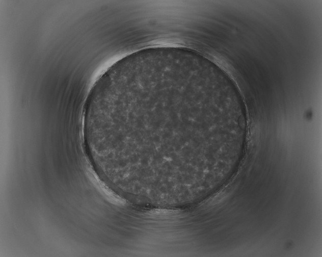 X0000116571179200912311947