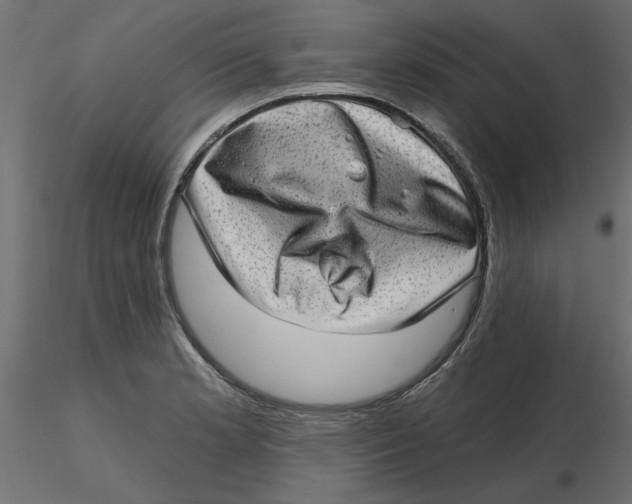 X0000116571181200912311947