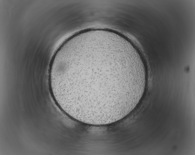 X0000116571183200912311947