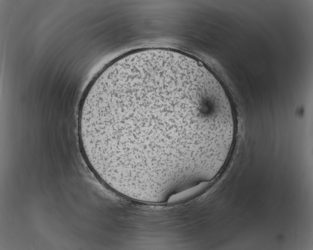 X0000116571184200912311947