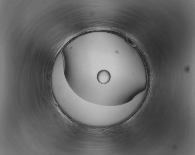 X0000116571185200912311947