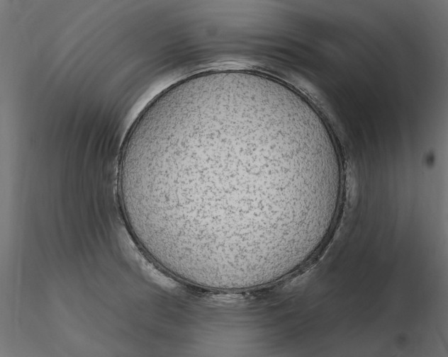 X0000116571186200912311947