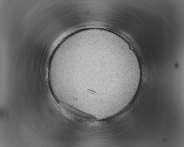 X0000116571188200912311947