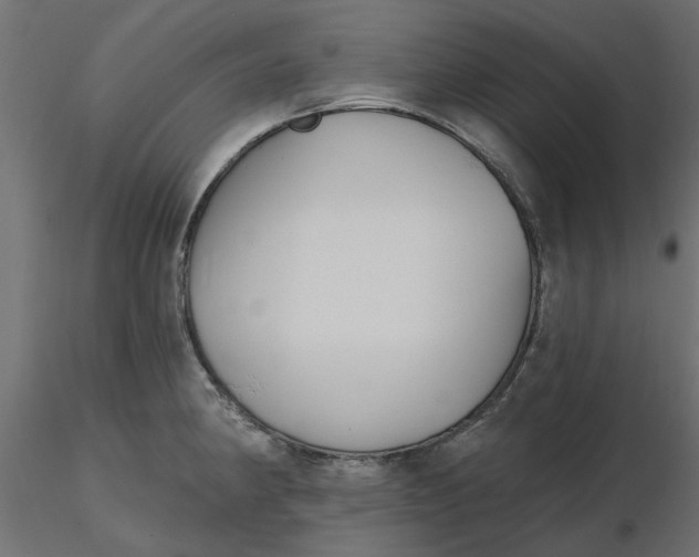 X0000116571190200912311947