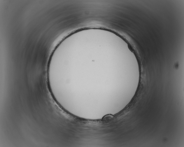 X0000116571191200912311947