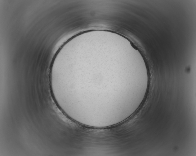 X0000116571192200912311947