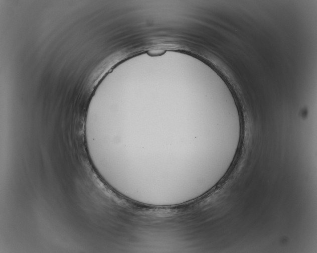 X0000116571193200912311947