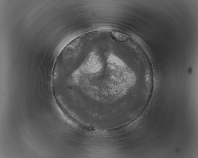 X0000116571194200912311947