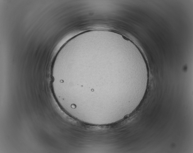 X0000116571195200912311947