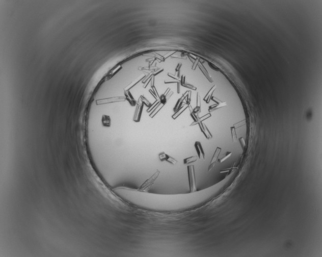 X0000116571196200912311947