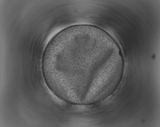 X0000116571197200912311947