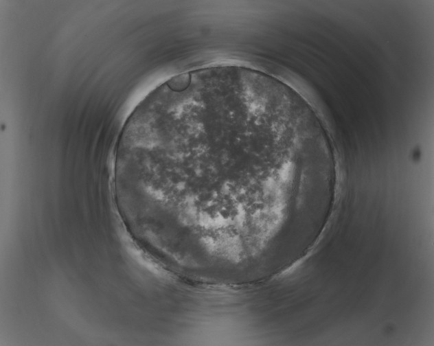 X0000116571198200912311947