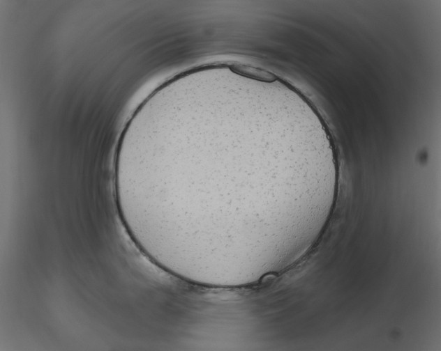 X0000116571199200912311947