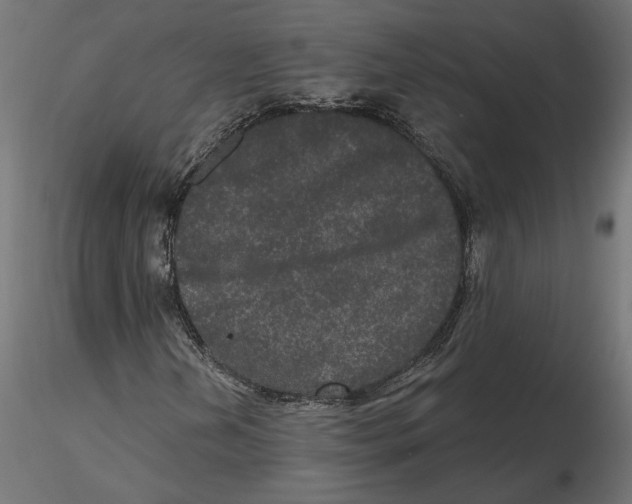 X0000116571202200912311946