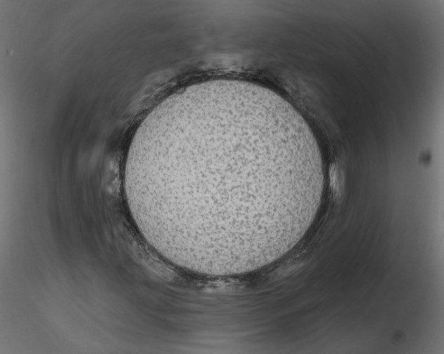 X0000116571203200912311946