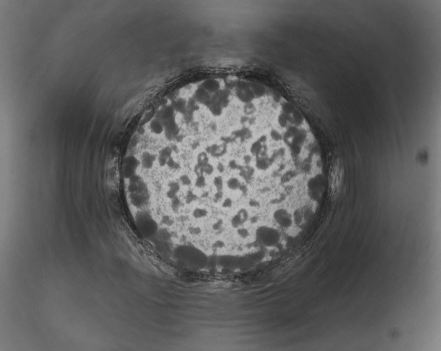 X0000116571204200912311946