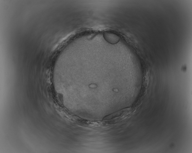 X0000116571205200912311946