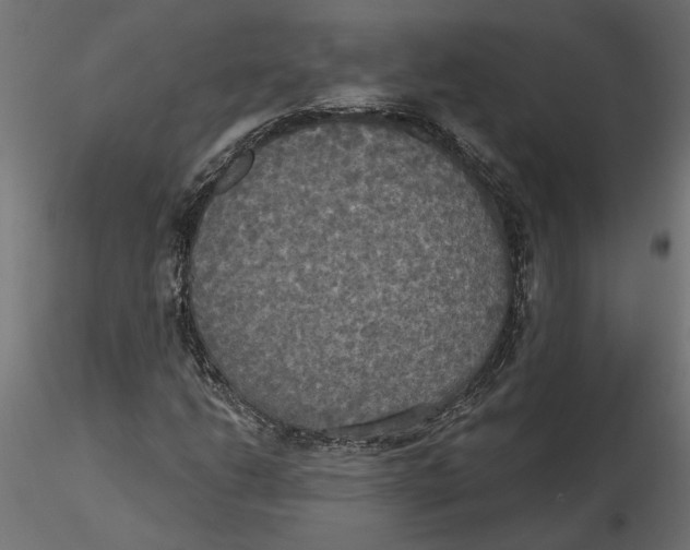 X0000116571206200912311946