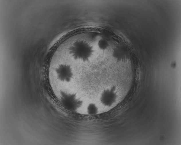 X0000116571208200912311946