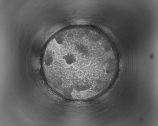 X0000116571209200912311946