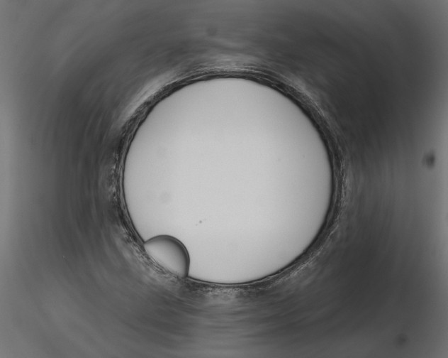 X0000116571211200912311946