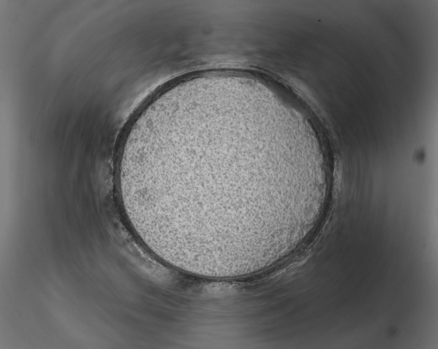 X0000116571212200912311946