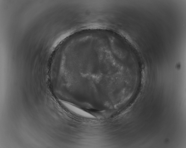 X0000116571213200912311946