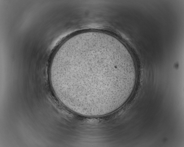 X0000116571214200912311946